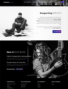 music portfolio image 2
