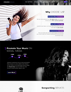 music portfolio image 3